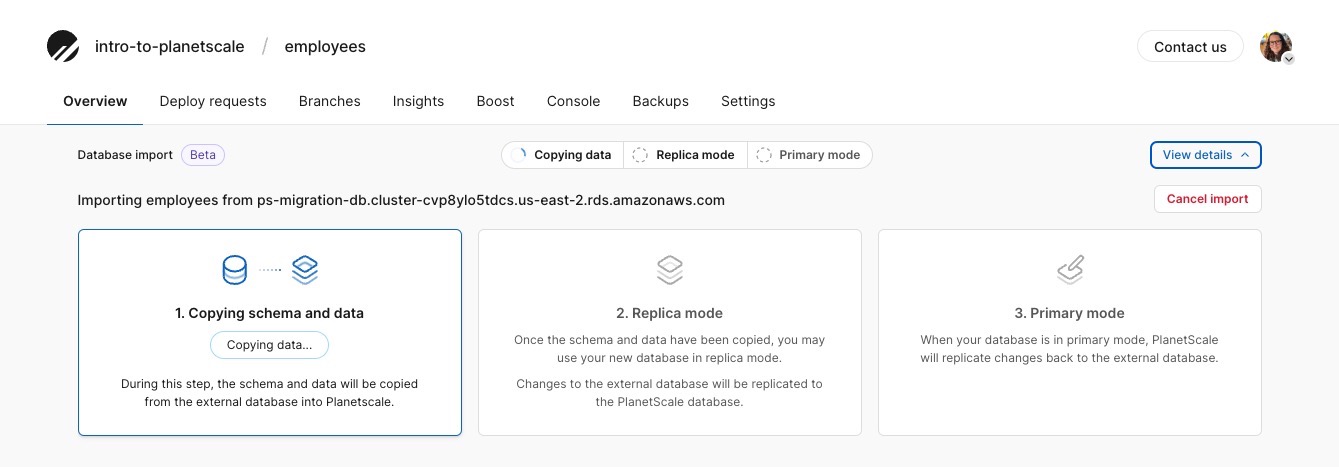 The Database import view during the initial import process.