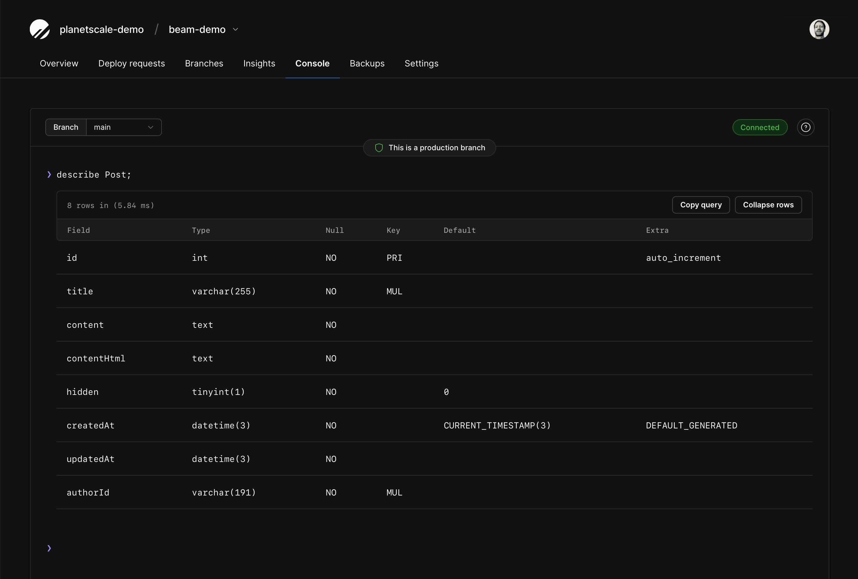 The console of the main branch with the output of the DESCRIBE command.